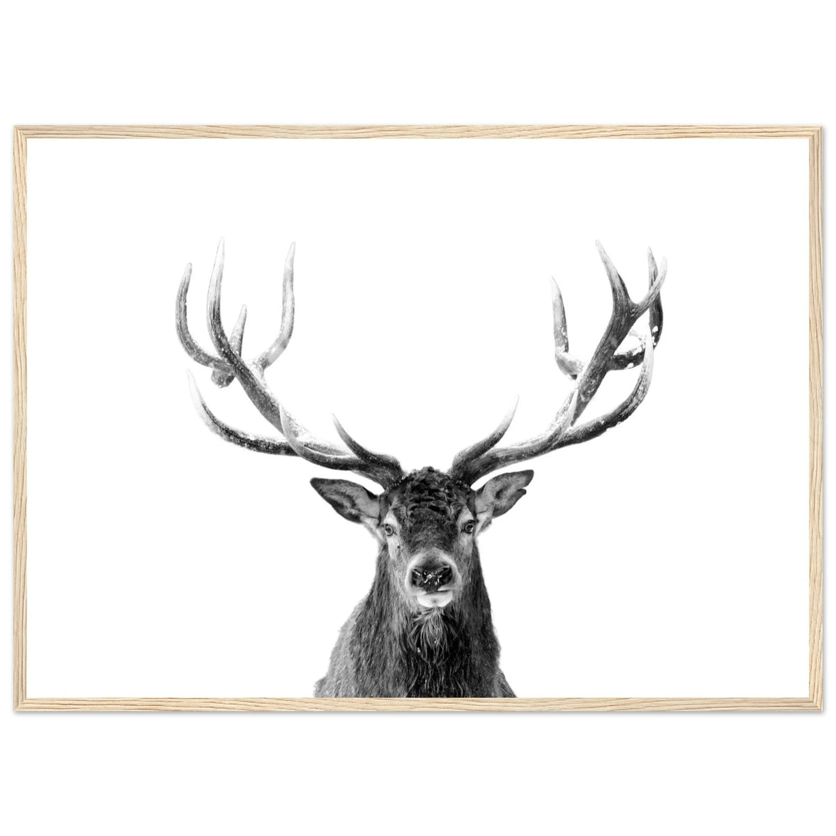 Tableau Cerf Noir et Blanc - The Art Avenue