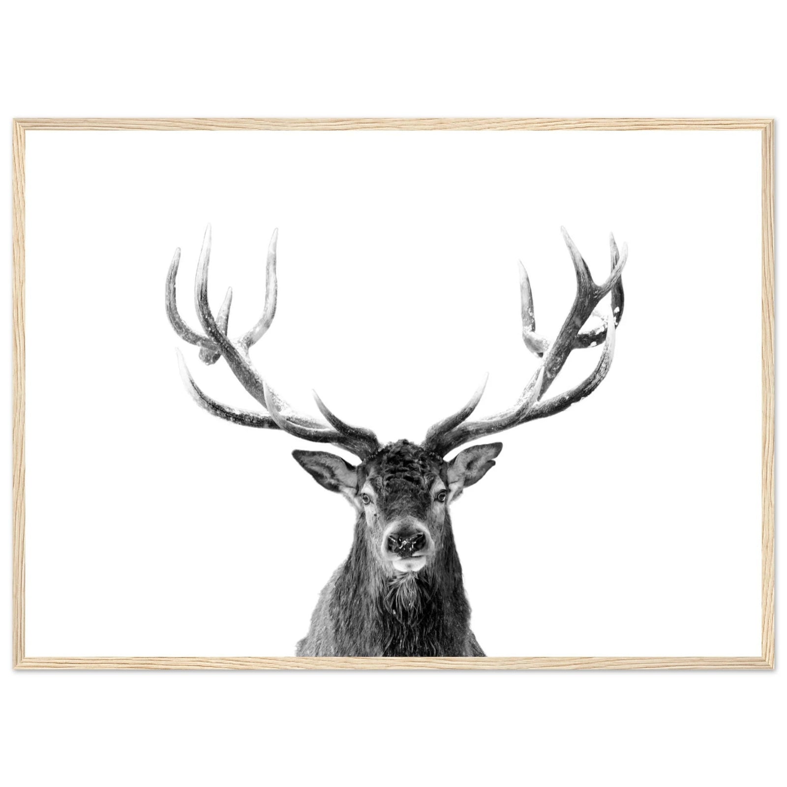 Tableau Cerf Noir et Blanc - The Art Avenue
