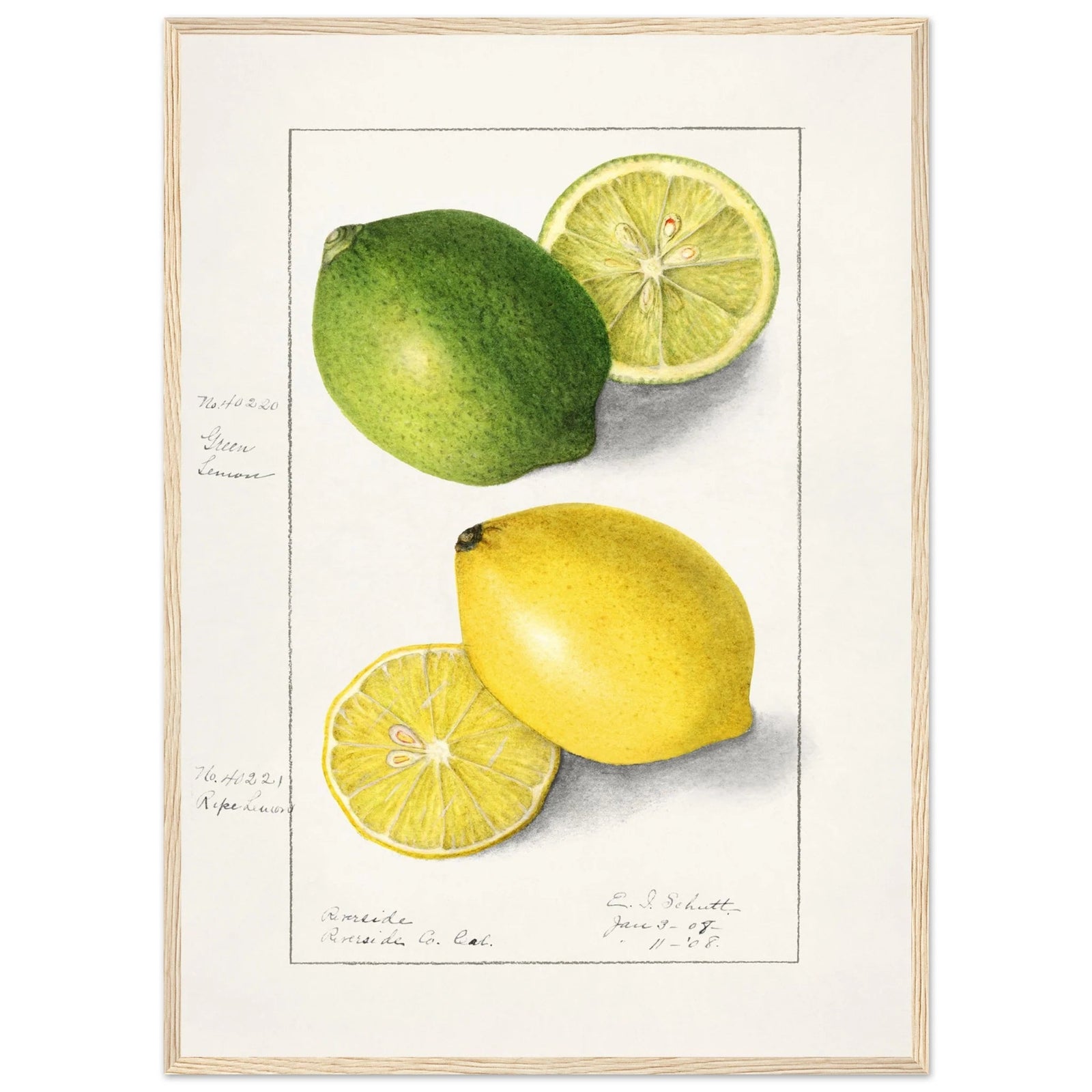 Tableau Citron Cuisine - The Art Avenue
