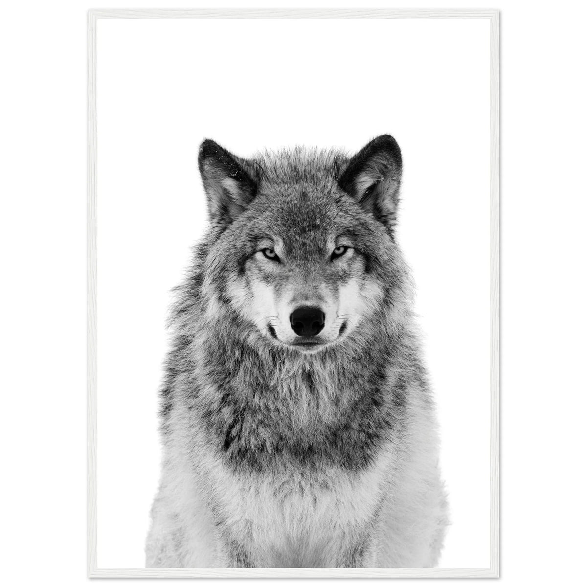 Tableau Loup Noir et Blanc - The Art Avenue