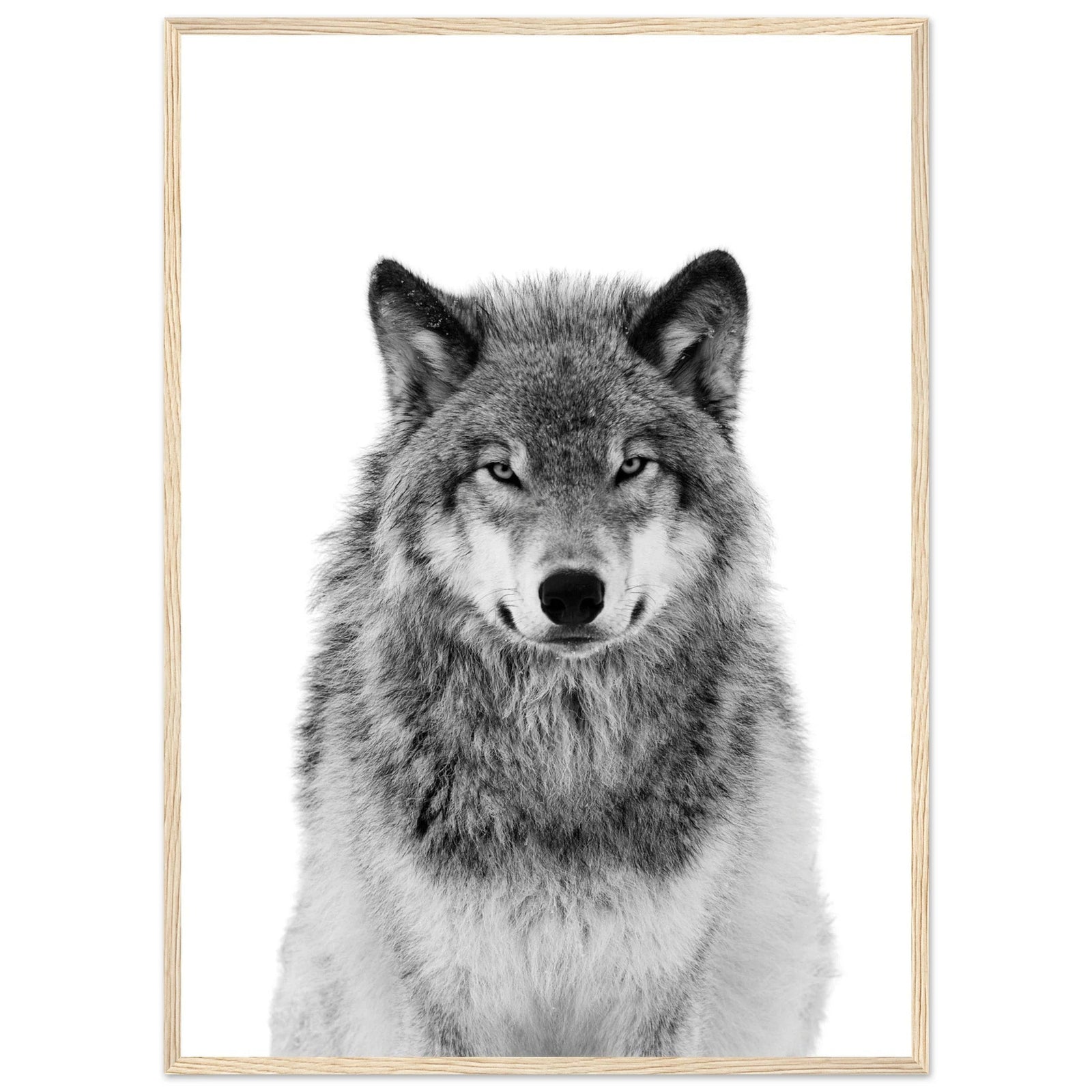 Tableau Loup Noir et Blanc - The Art Avenue