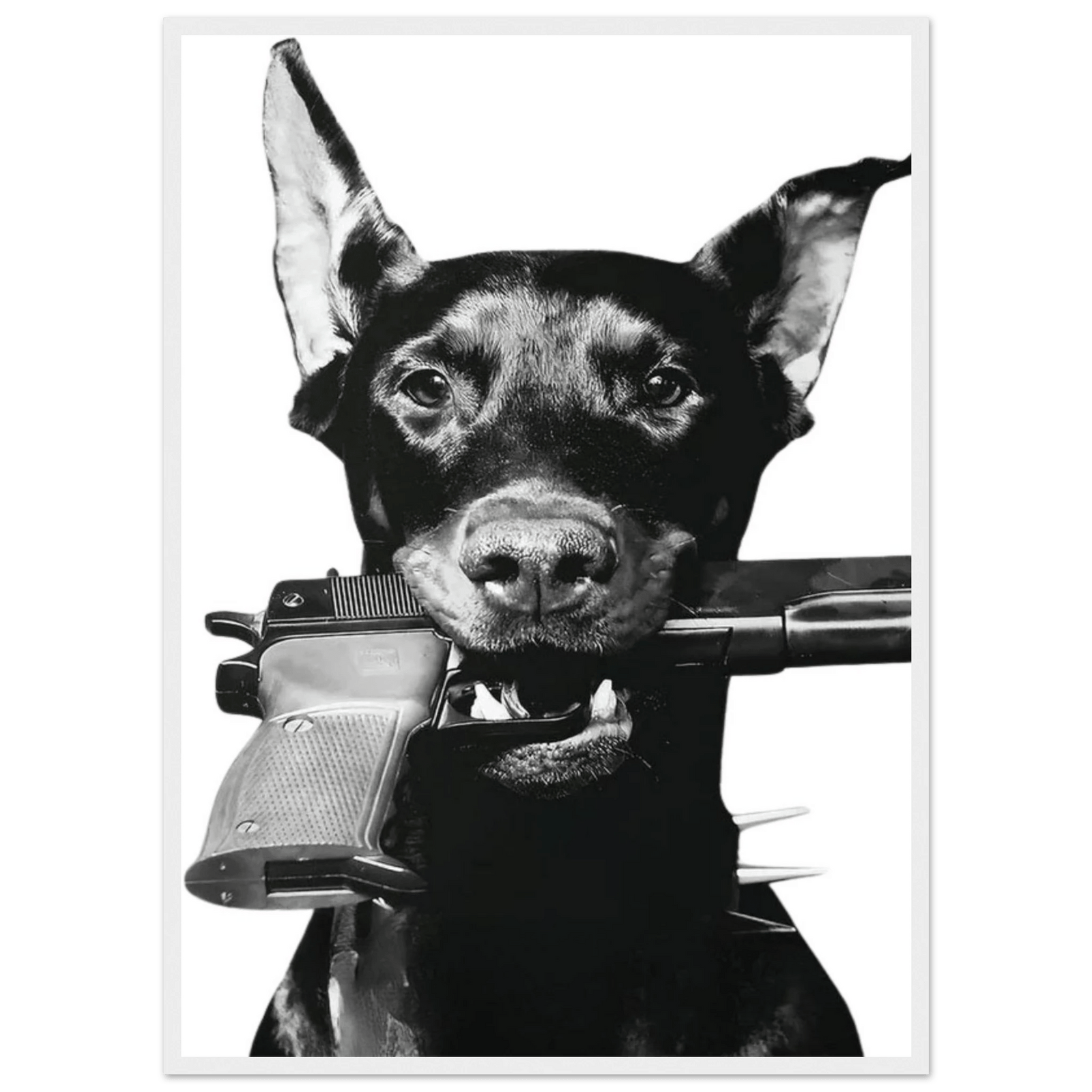 Tableau Noir et Blanc Doberman - The Art Avenue