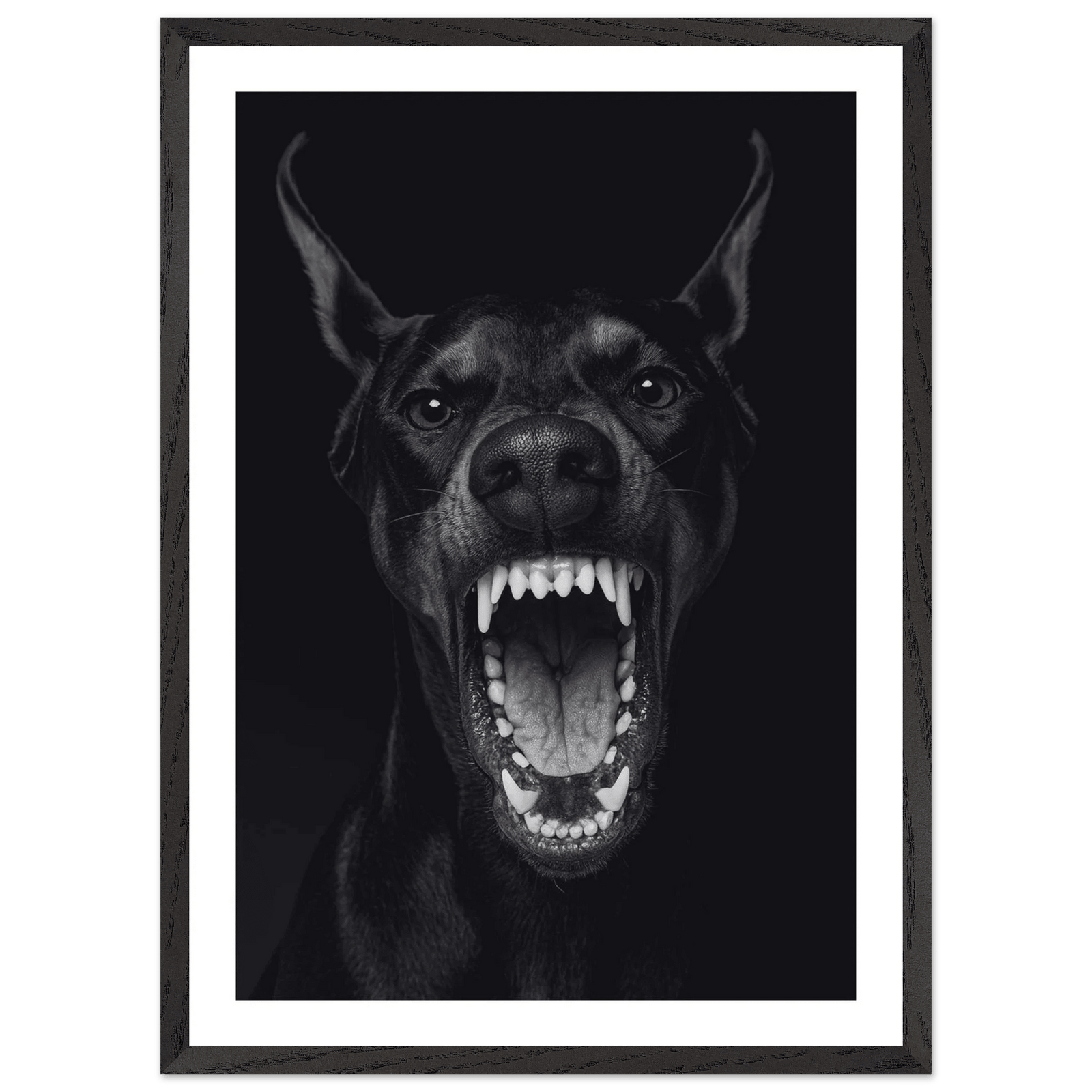 Tableau Noir et Blanc Doberman Majestueux - The Art Avenue