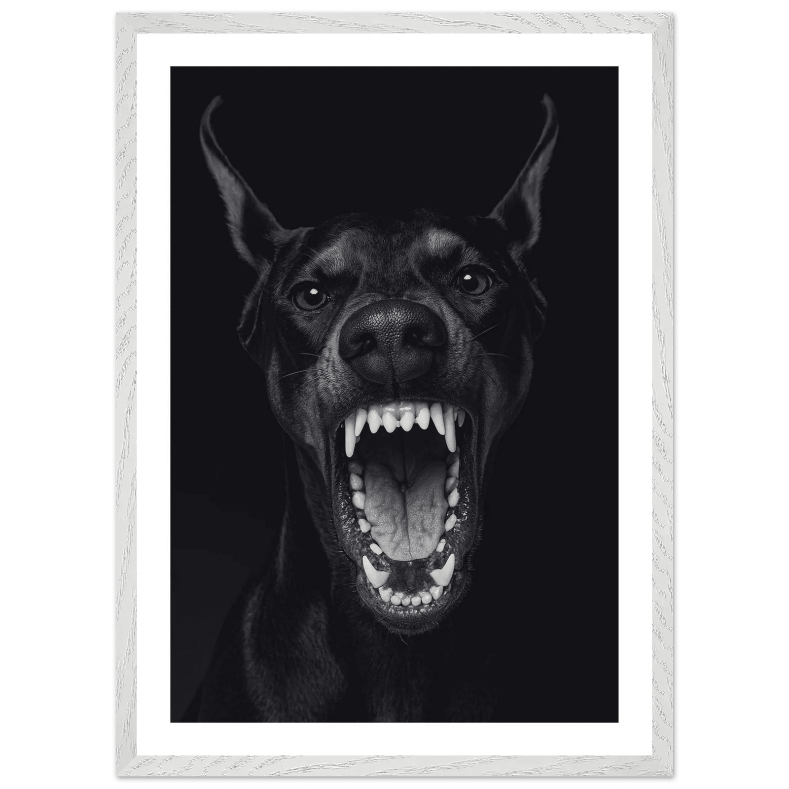 Tableau Noir et Blanc Doberman Majestueux - The Art Avenue