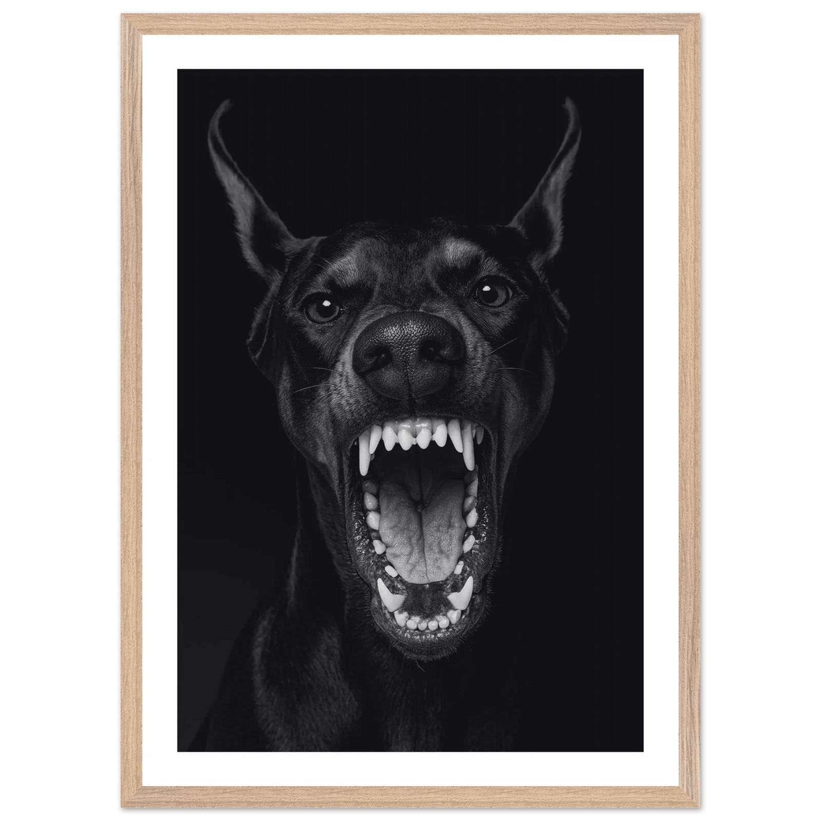 Tableau Noir et Blanc Doberman Majestueux - The Art Avenue