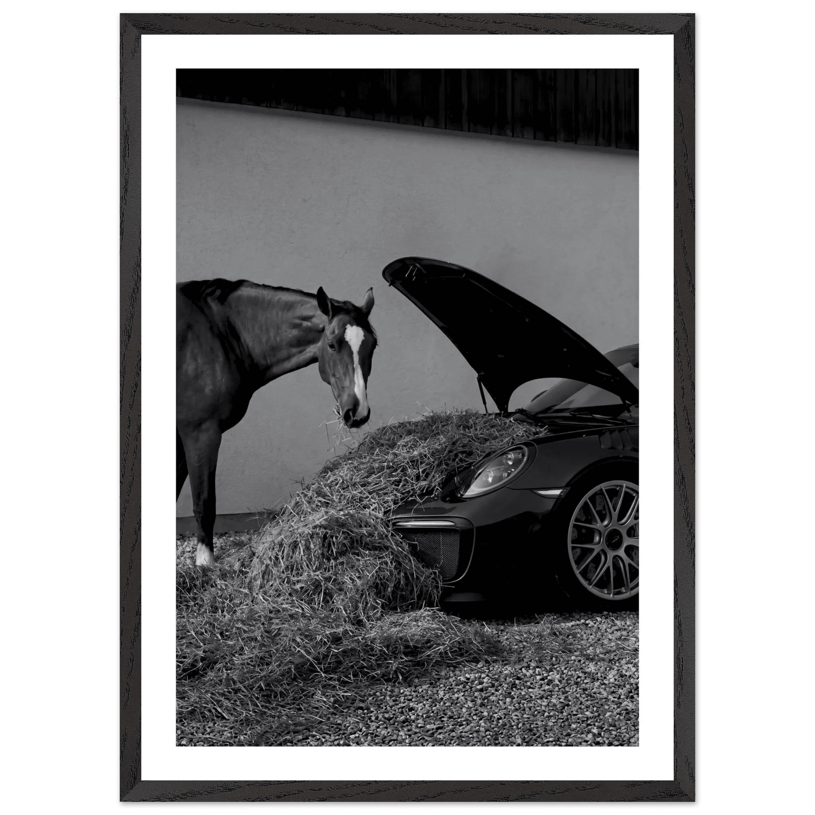 Tableau Noir et Blanc Élégance Équestre - The Art Avenue