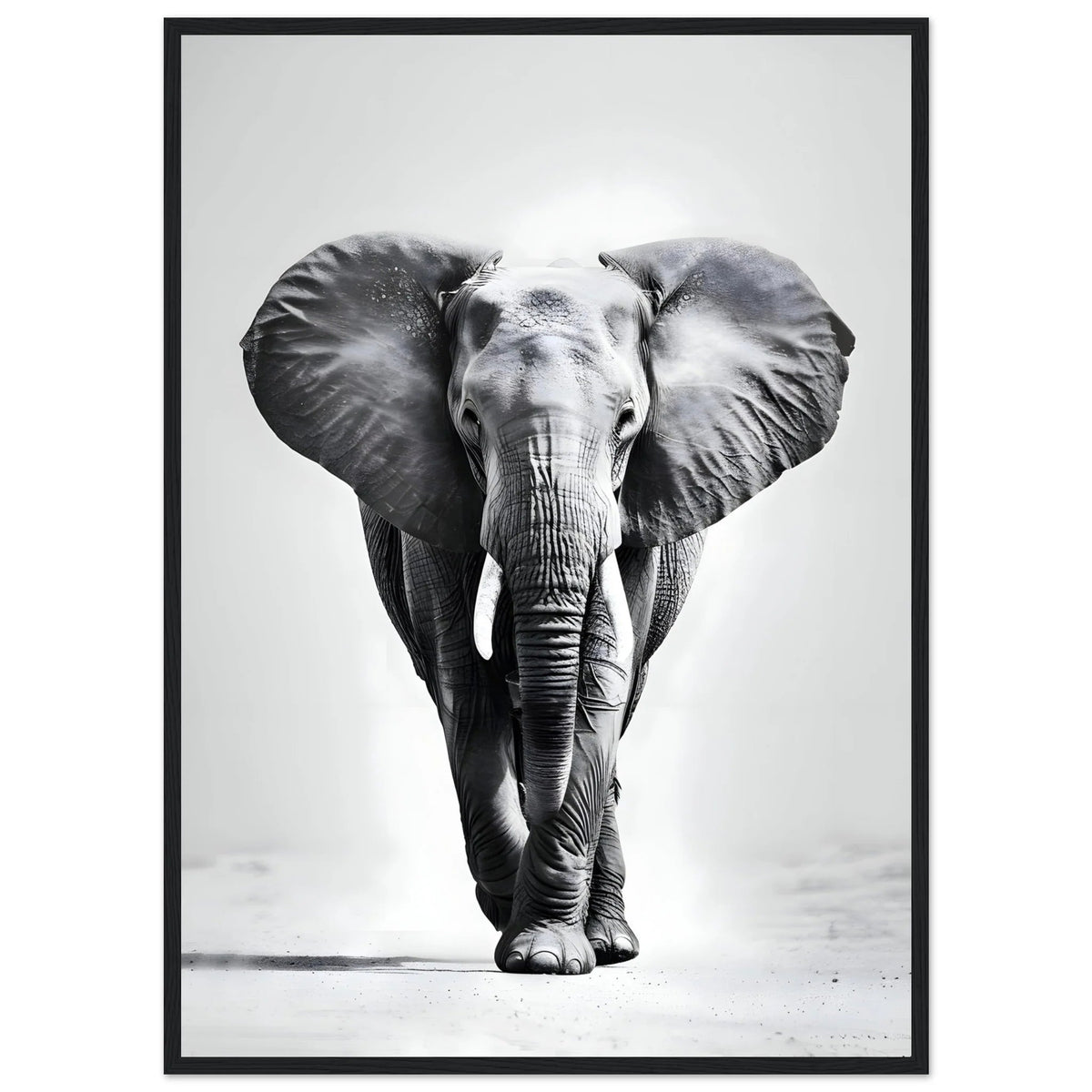 Tableau Noir et Blanc Elephant - The Art Avenue