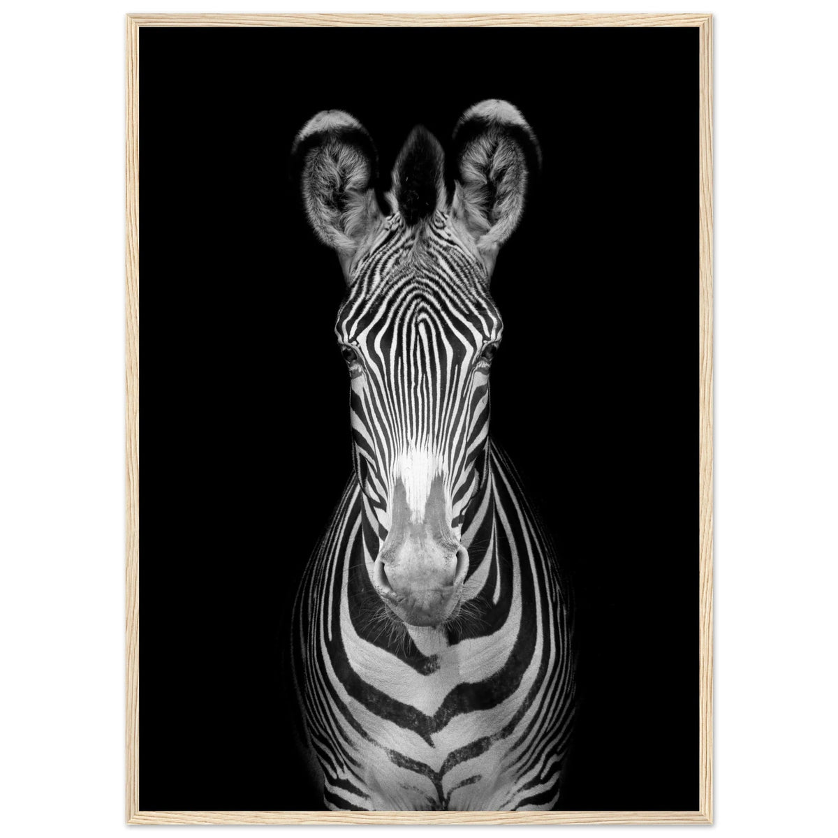 Tableau Noir et Blanc Zèbre - The Art Avenue