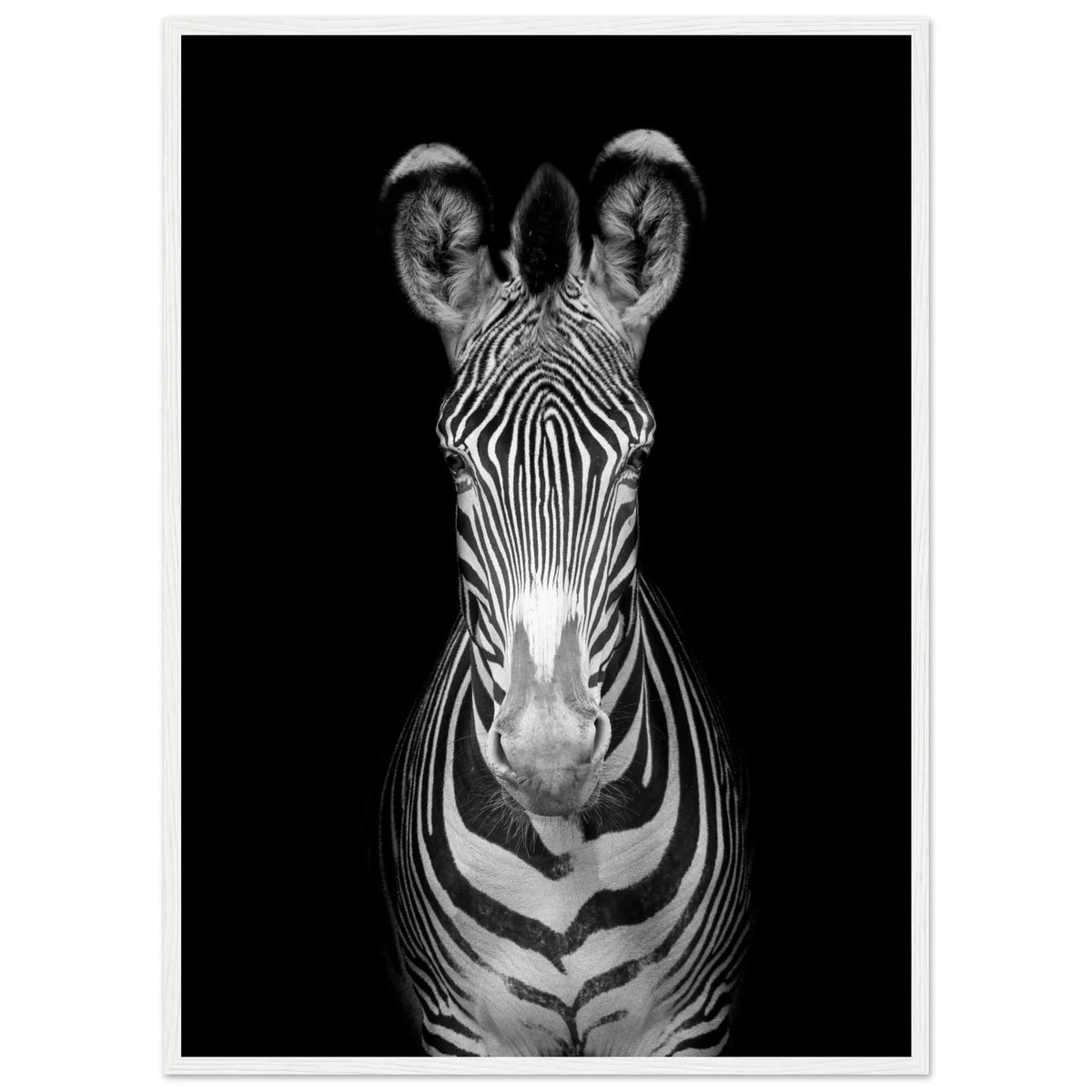 Tableau Noir et Blanc Zèbre - The Art Avenue