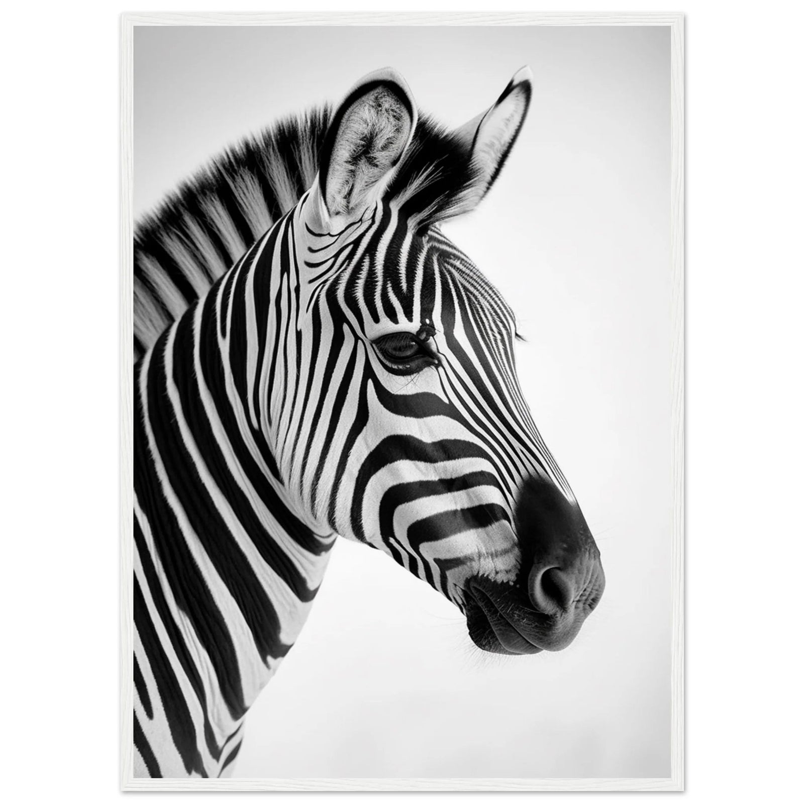 Tableau Zèbre Noir et Blanc - The Art Avenue