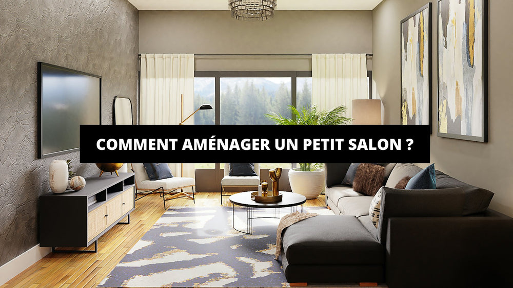 Comment Aménager Un Petit Salon ? | The Art Avenue