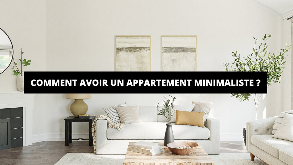 Comment Avoir Un Appartement Minimaliste ? - The Art Avenue