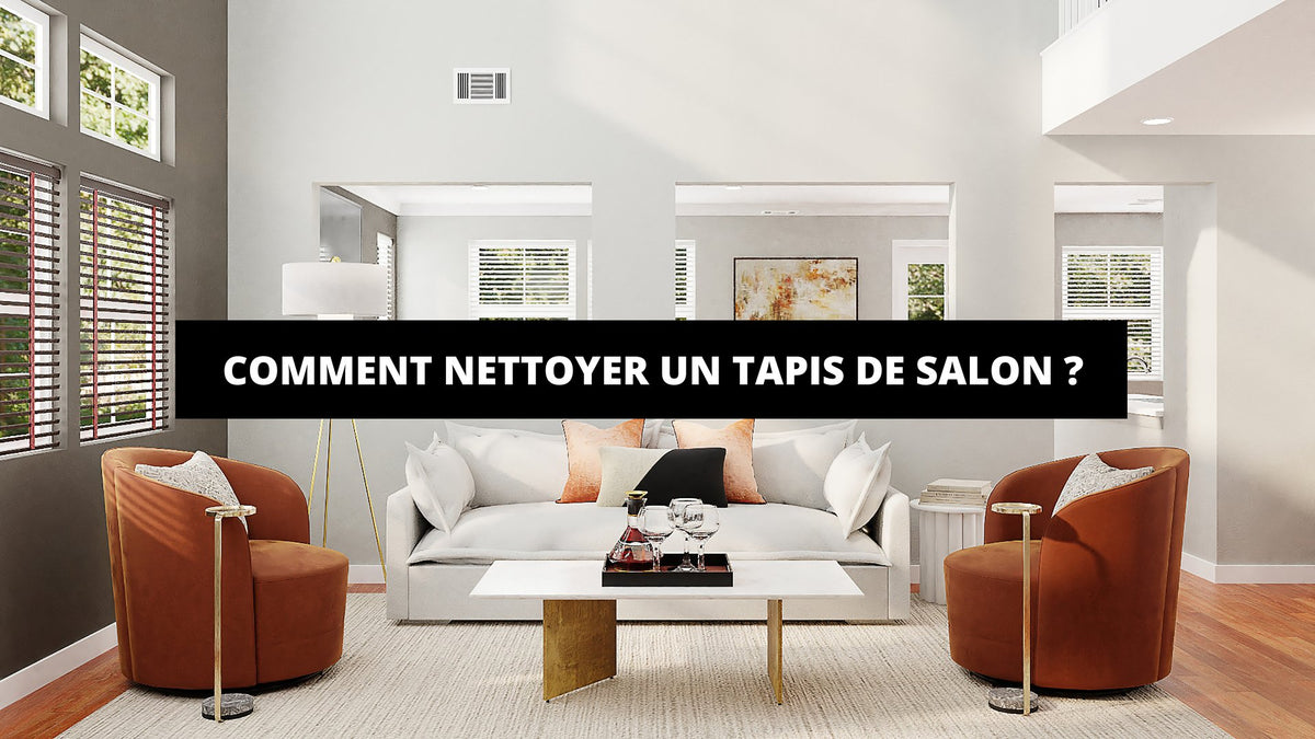 Comment Nettoyer Un Tapis De Salon ? - The Art Avenue
