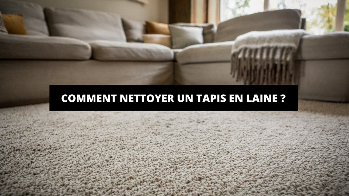 Comment Nettoyer Un Tapis En Laine ? - The Art Avenue