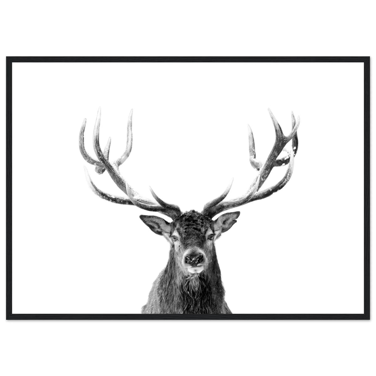 Tableau Cerf Noir et Blanc - The Art Avenue