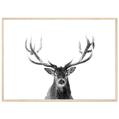 Tableau Cerf Noir et Blanc - The Art Avenue