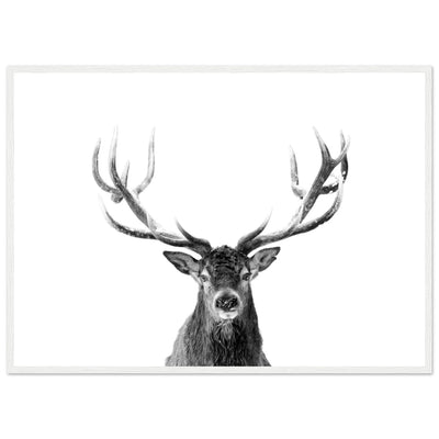 Tableau Cerf Noir et Blanc - The Art Avenue