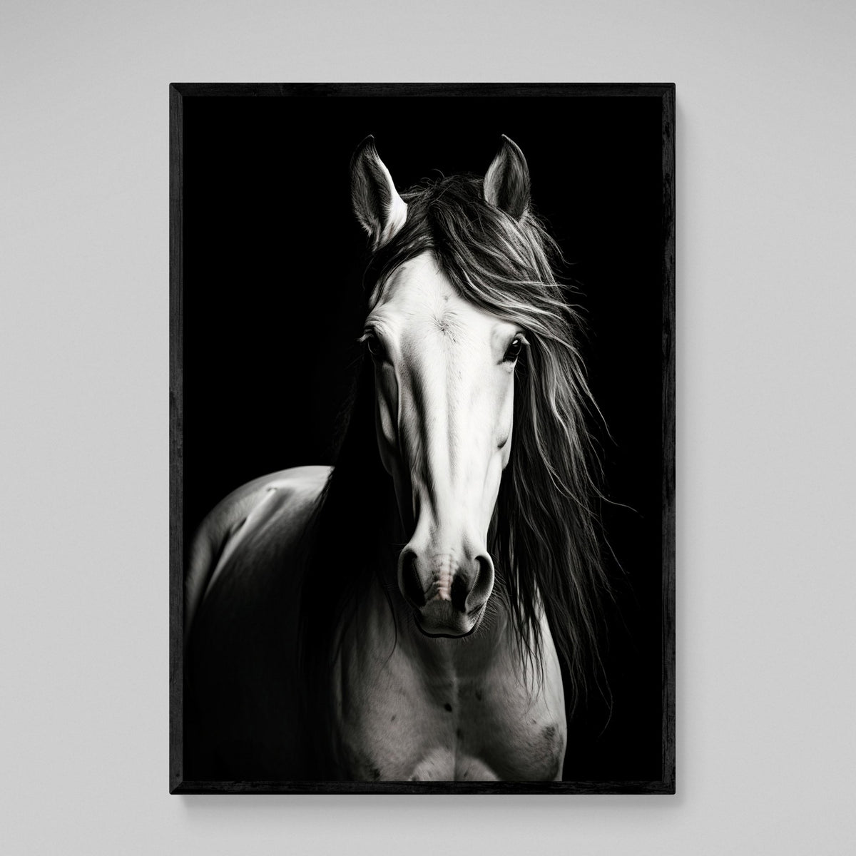 Tableau Cheval Noir et Blanc - The Art Avenue