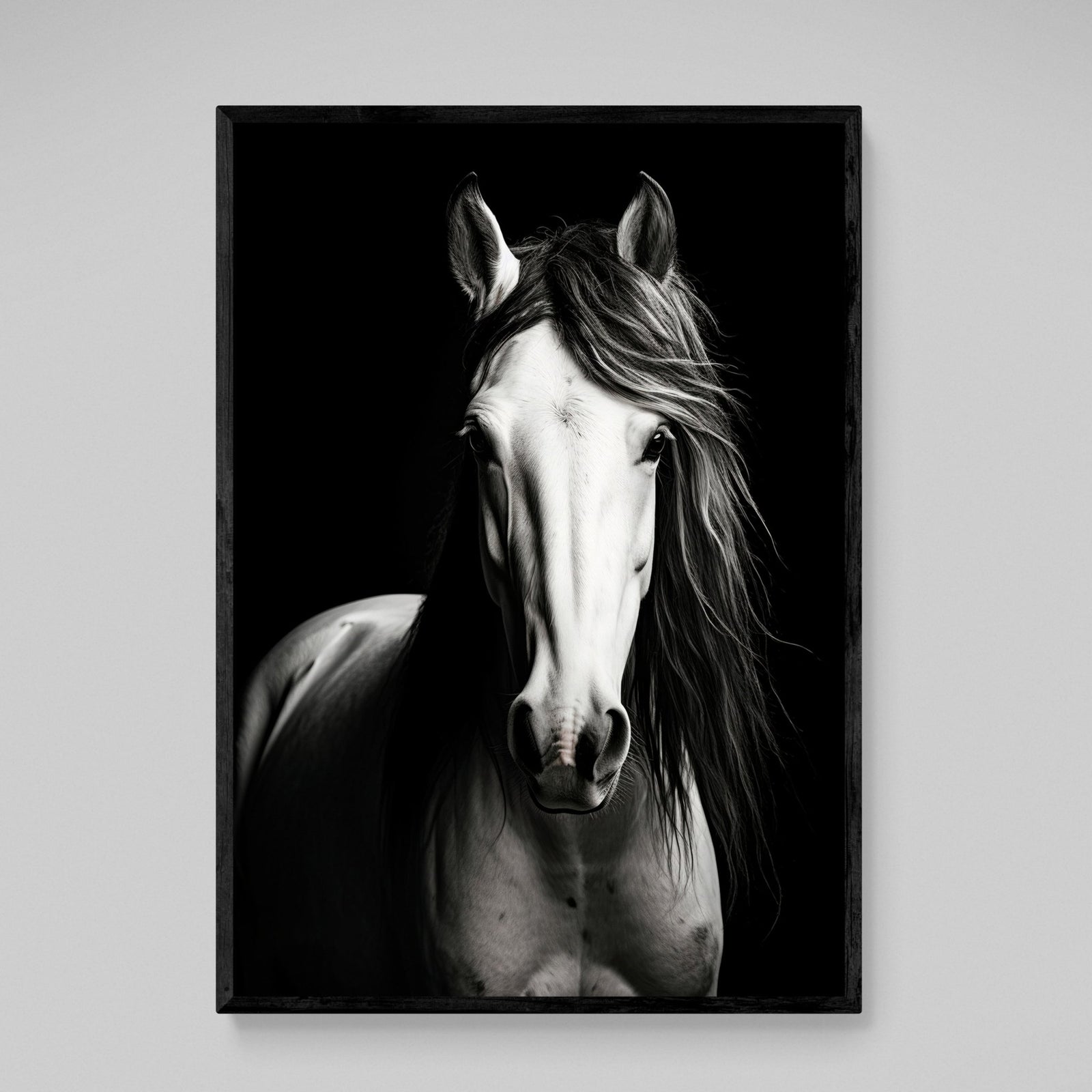 Tableau Cheval Noir et Blanc - The Art Avenue