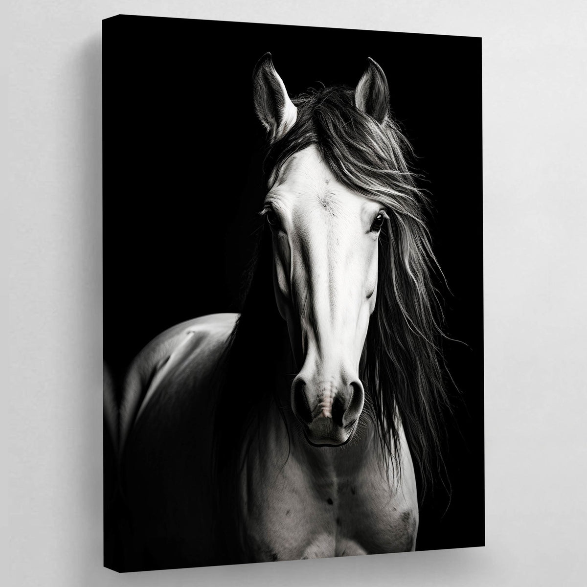 Tableau Cheval Noir et Blanc - The Art Avenue
