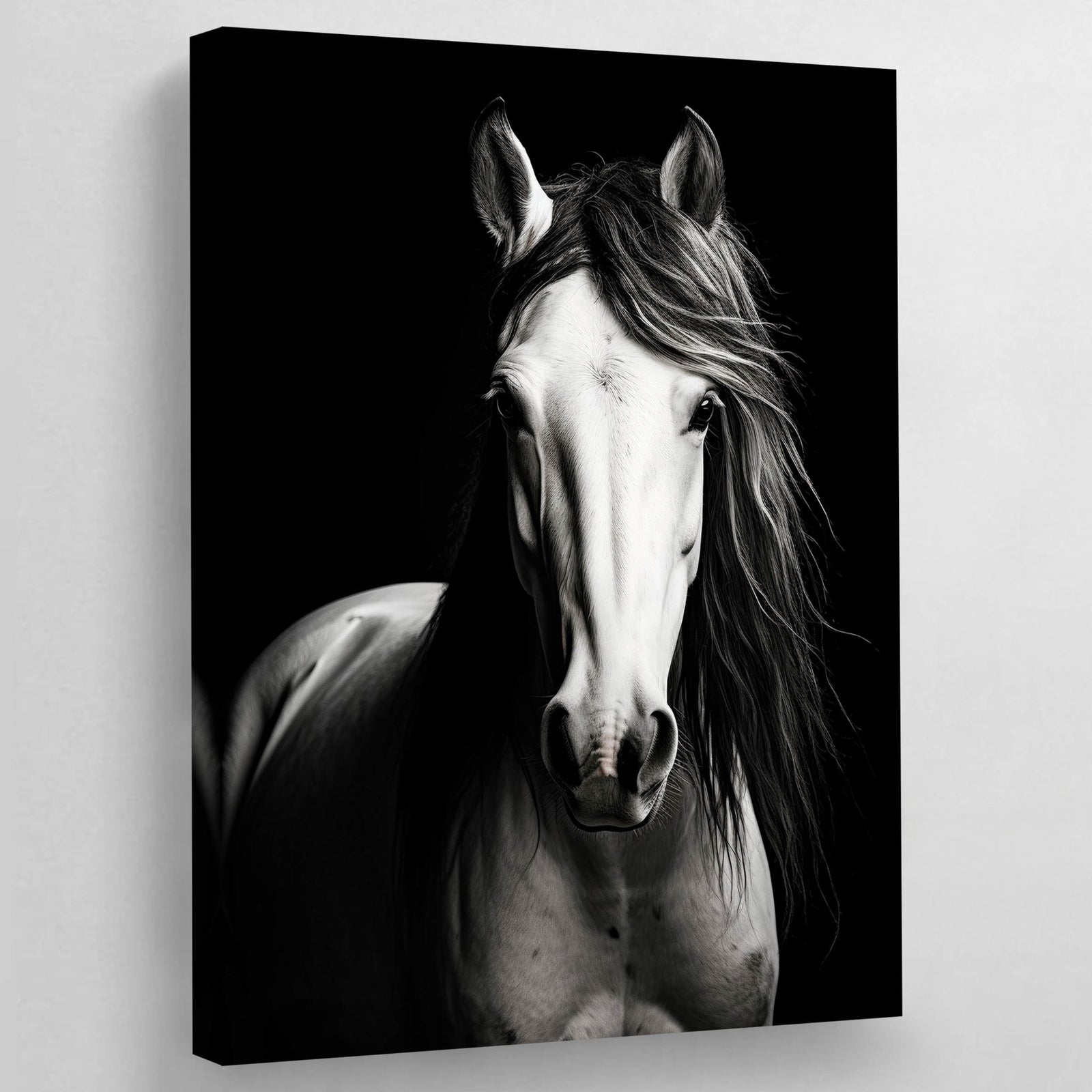 Tableau Cheval Noir et Blanc - The Art Avenue