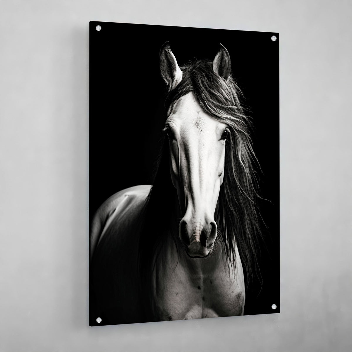 Tableau Cheval Noir et Blanc - The Art Avenue