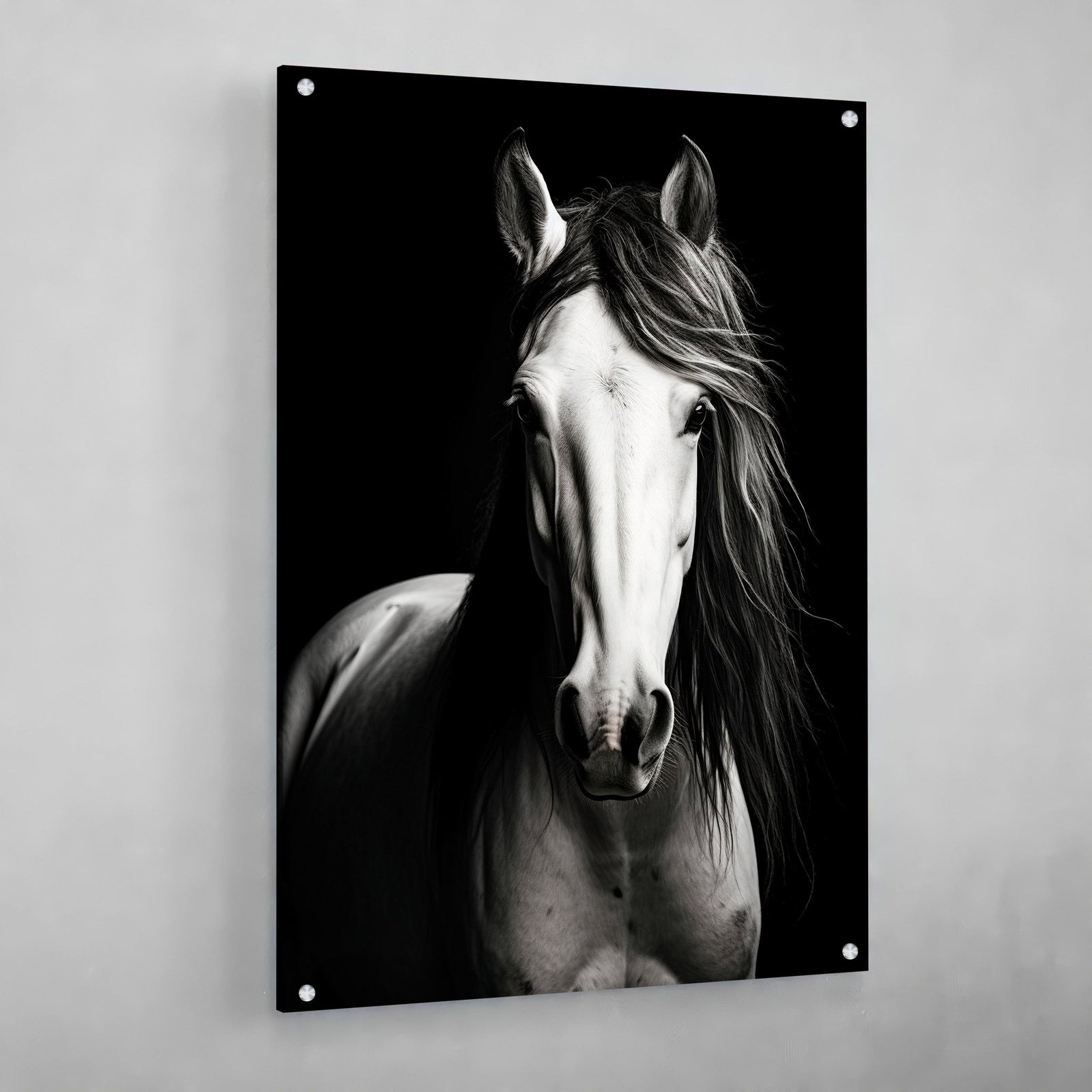 Tableau Cheval Noir et Blanc - The Art Avenue