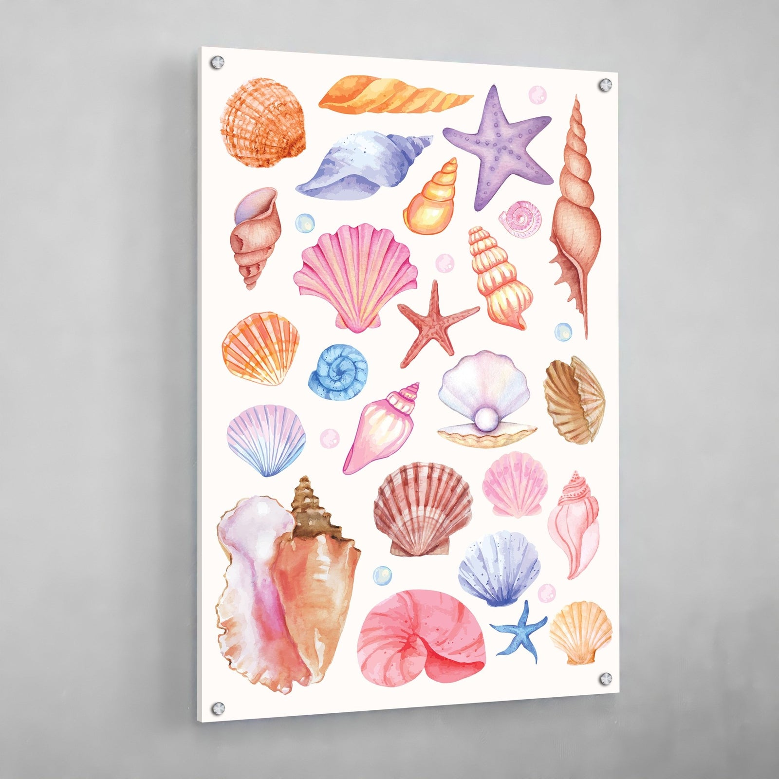 Tableau Coquillages Colorés - The Art Avenue
