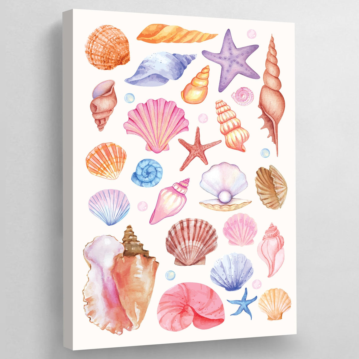 Tableau Coquillages Colorés - The Art Avenue