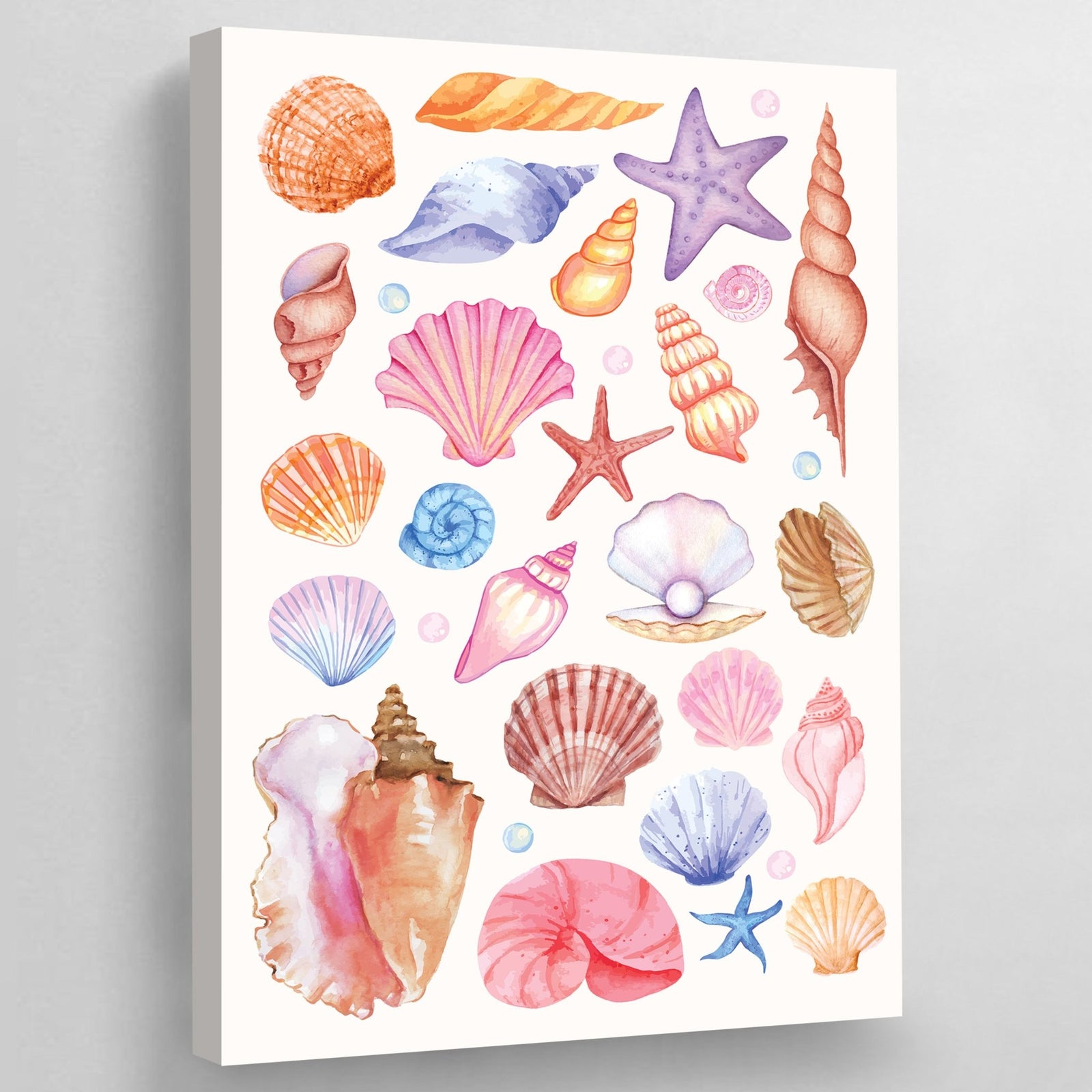 Tableau Coquillages Colorés - The Art Avenue