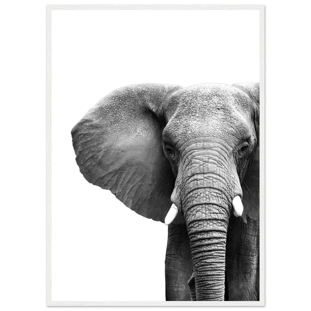 Tableau Elephant Noir et Blanc - The Art Avenue