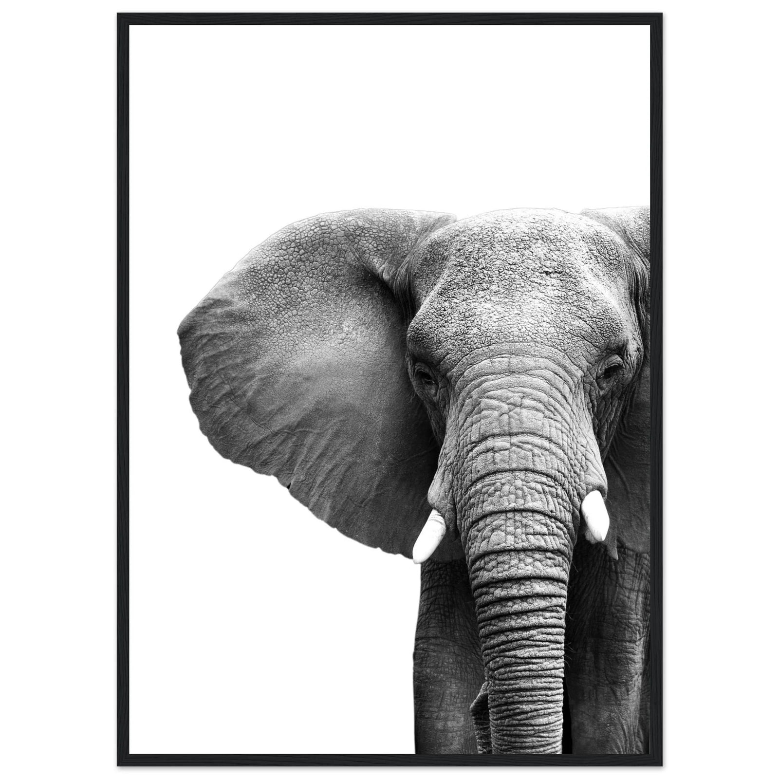 Tableau Elephant Noir et Blanc - The Art Avenue