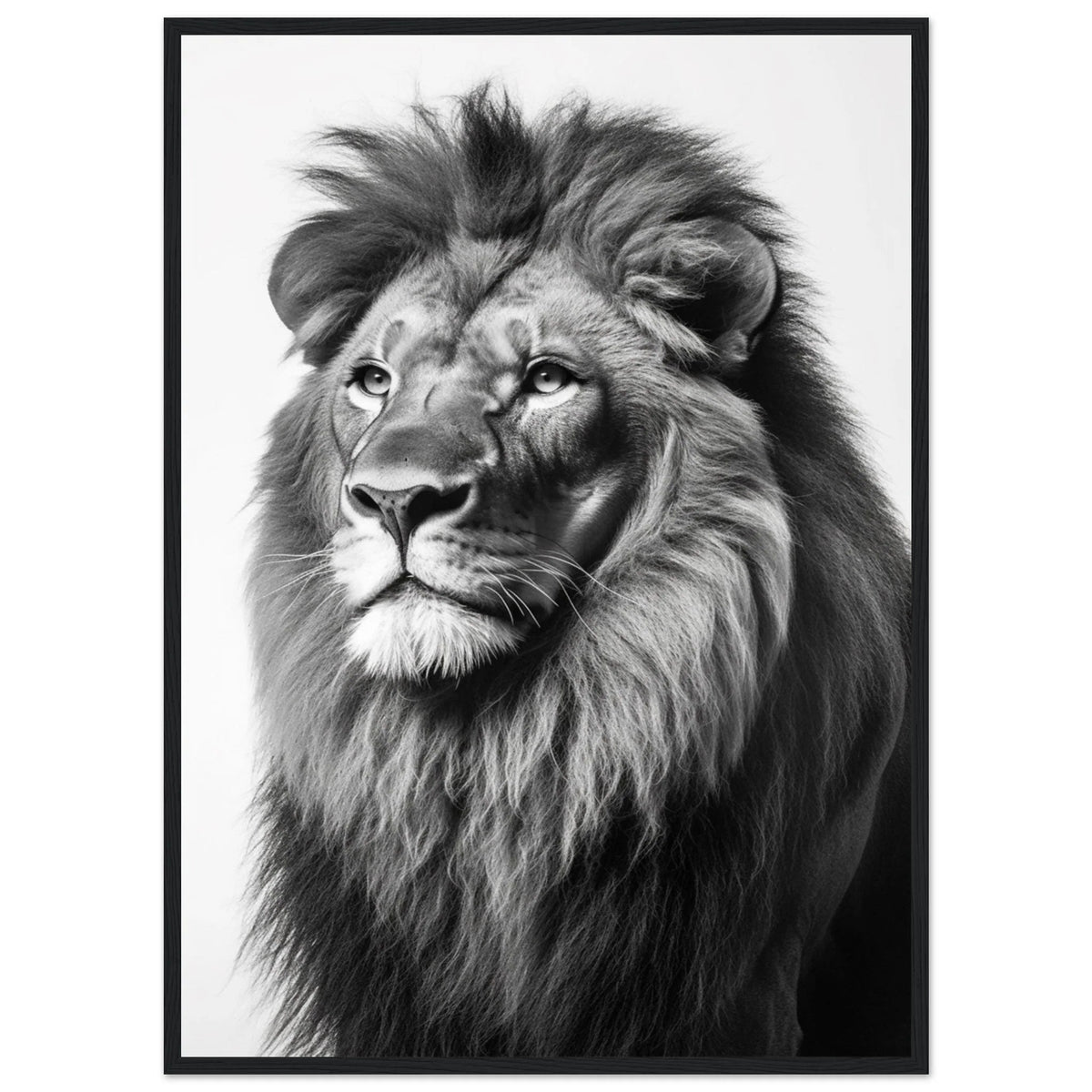 Tableau Lion Noir et Blanc - The Art Avenue