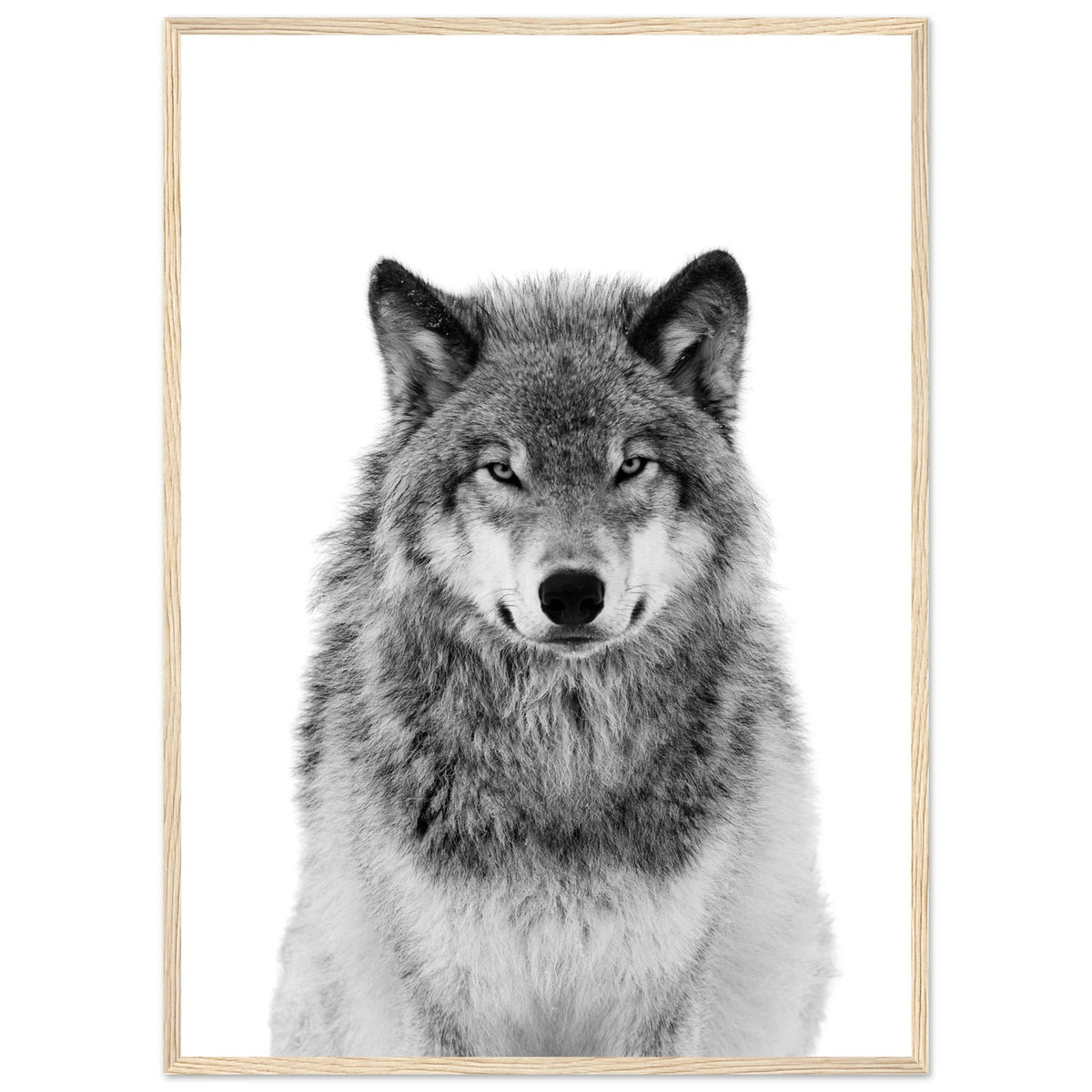 Tableau Loup Noir et Blanc - The Art Avenue