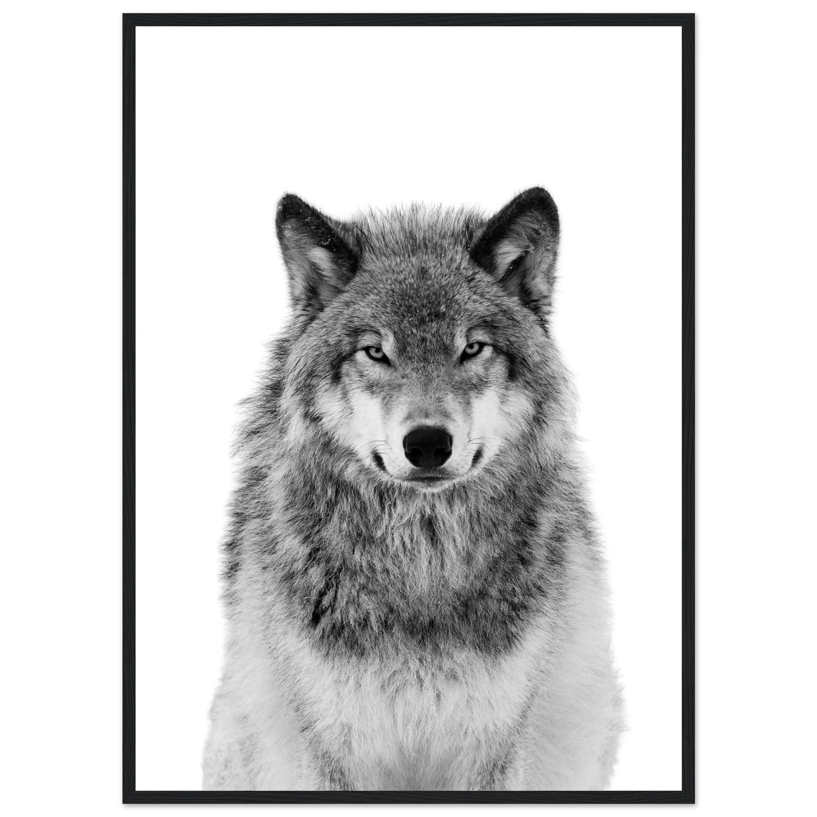 Tableau Loup Noir et Blanc - The Art Avenue