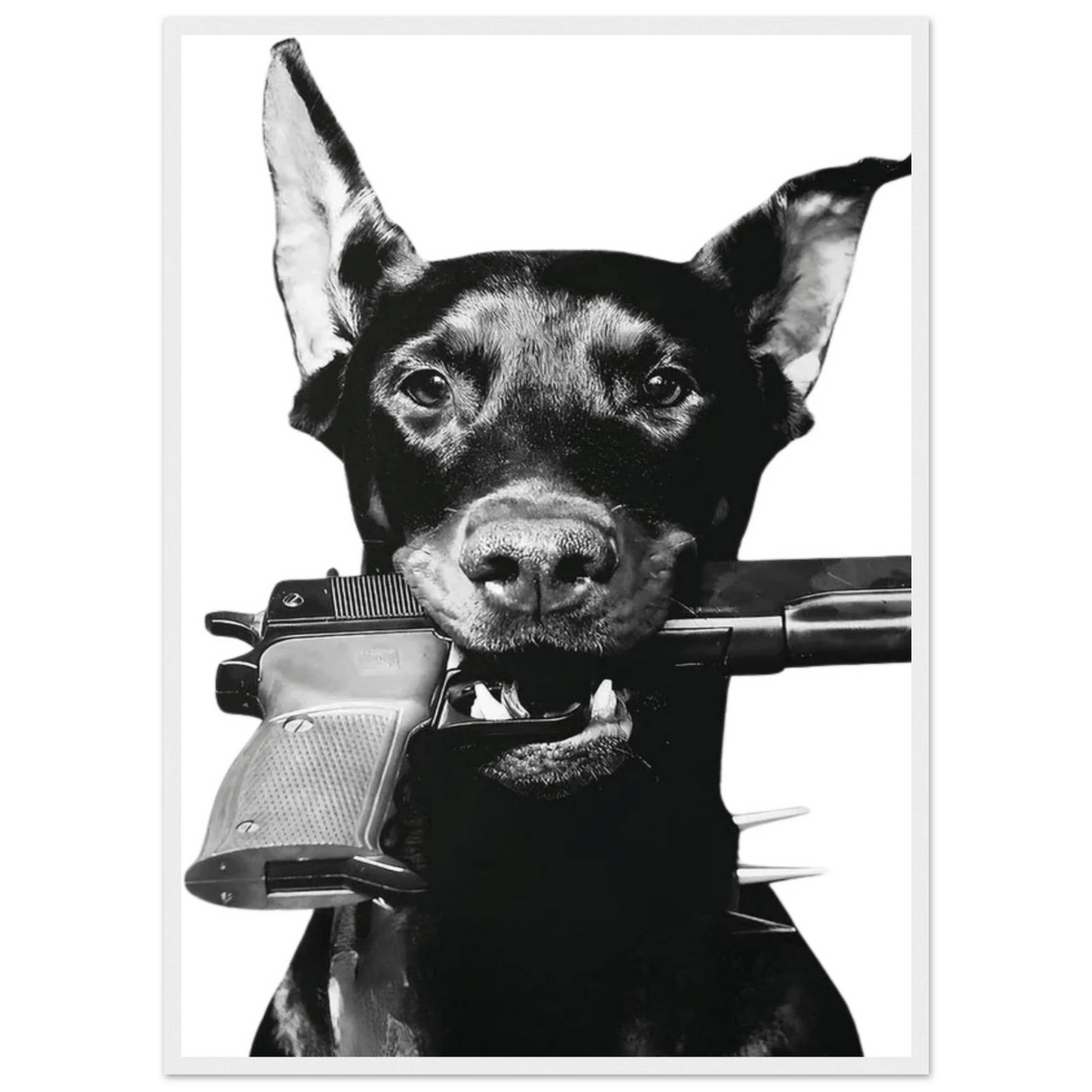Tableau Noir et Blanc Doberman - The Art Avenue