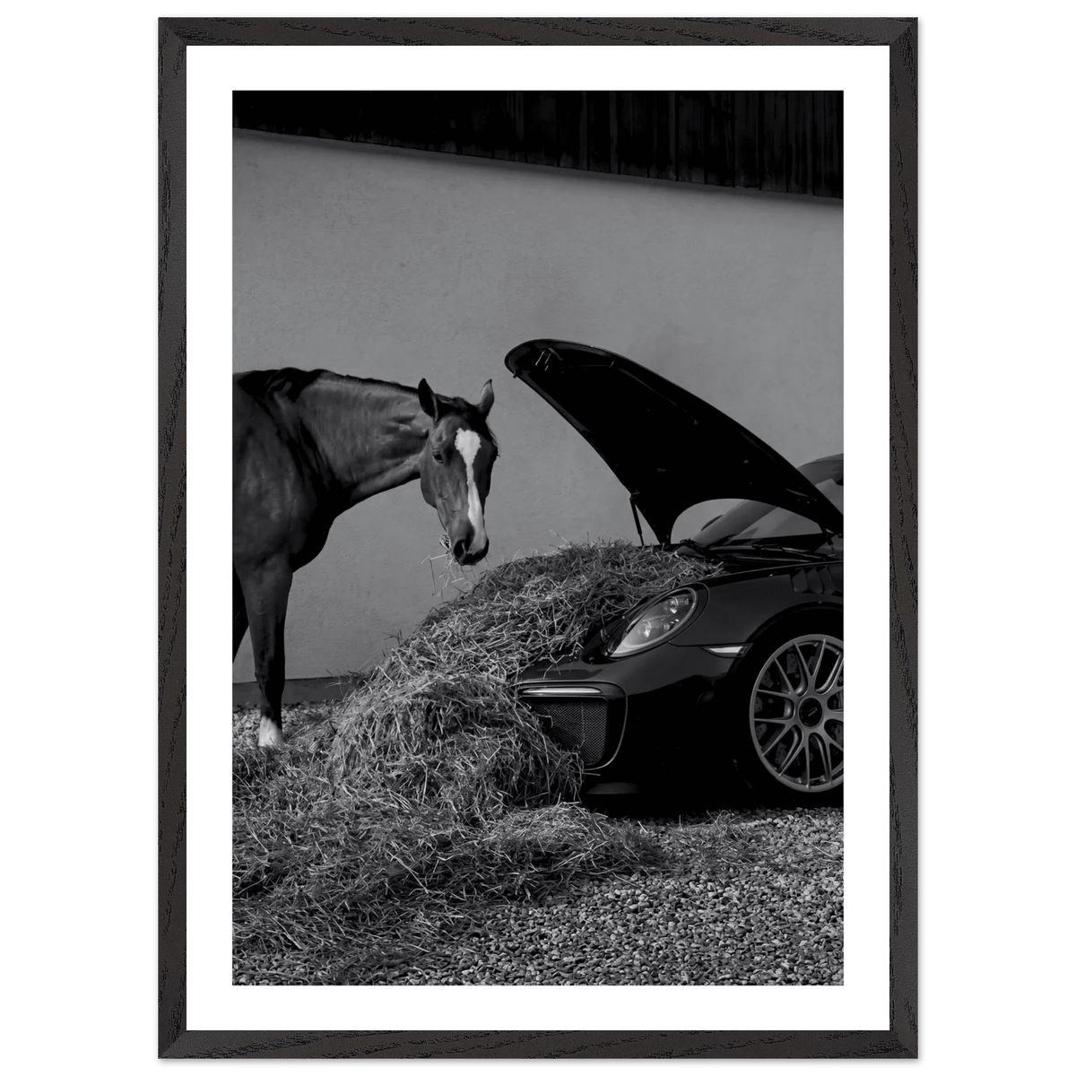 Tableau Noir et Blanc Élégance Équestre - The Art Avenue