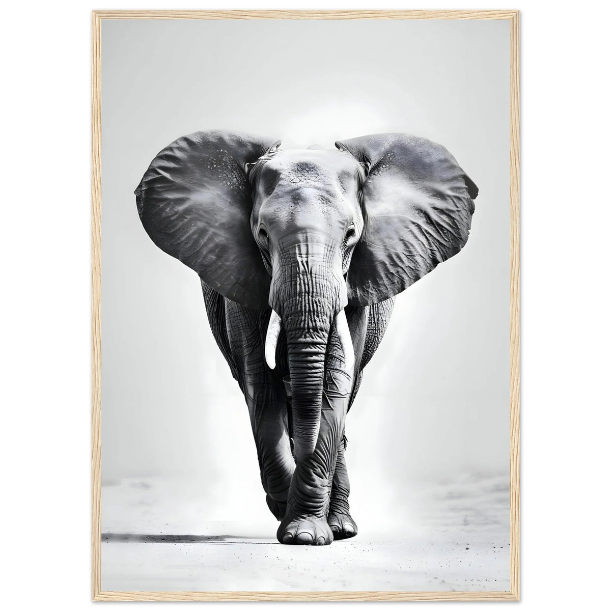 Tableau Noir et Blanc Elephant - The Art Avenue