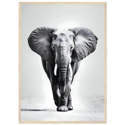 Tableau Noir et Blanc Elephant - The Art Avenue