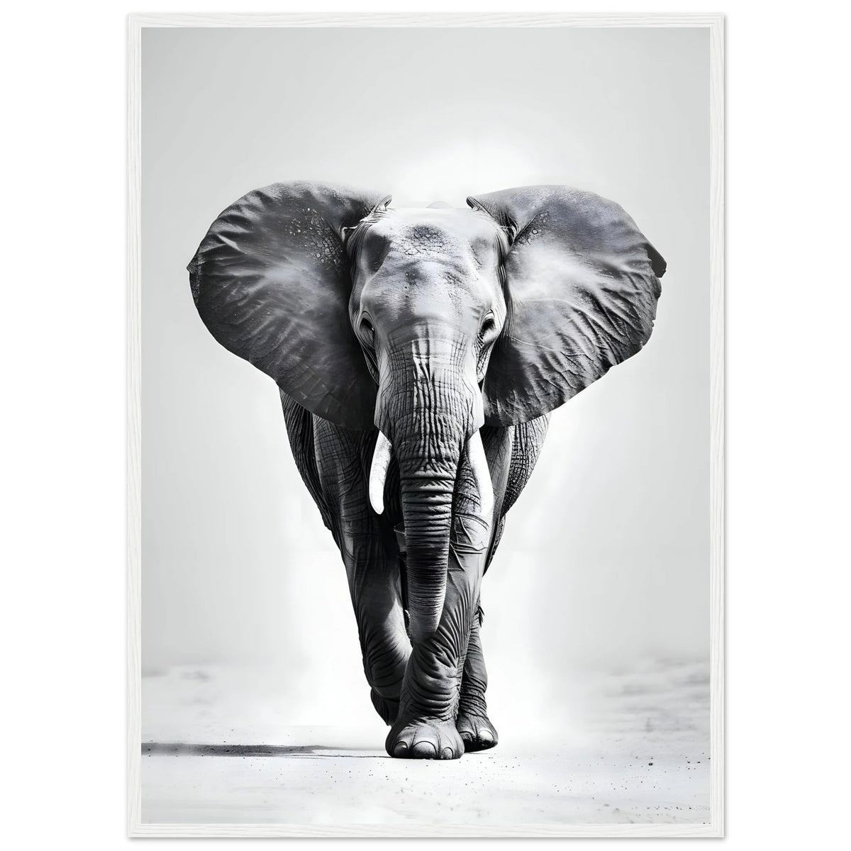 Tableau Noir et Blanc Elephant - The Art Avenue