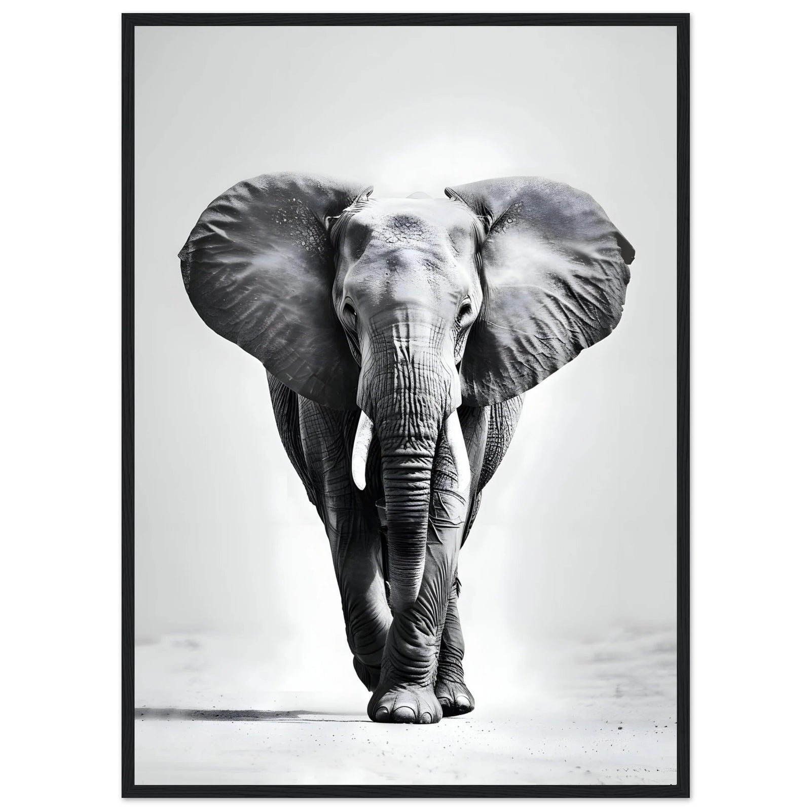 Tableau Noir et Blanc Elephant - The Art Avenue