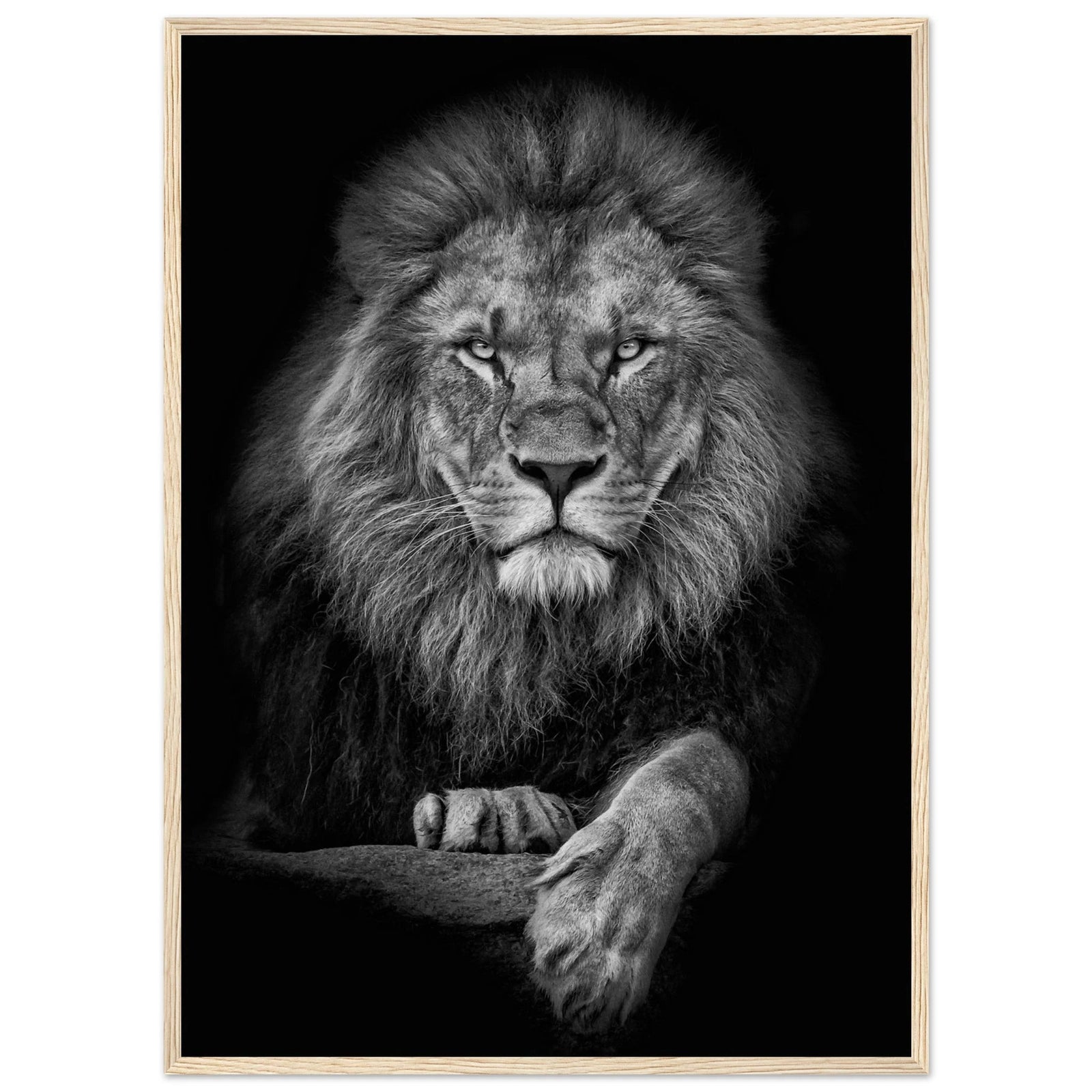 Tableau Noir et Blanc Lion - The Art Avenue