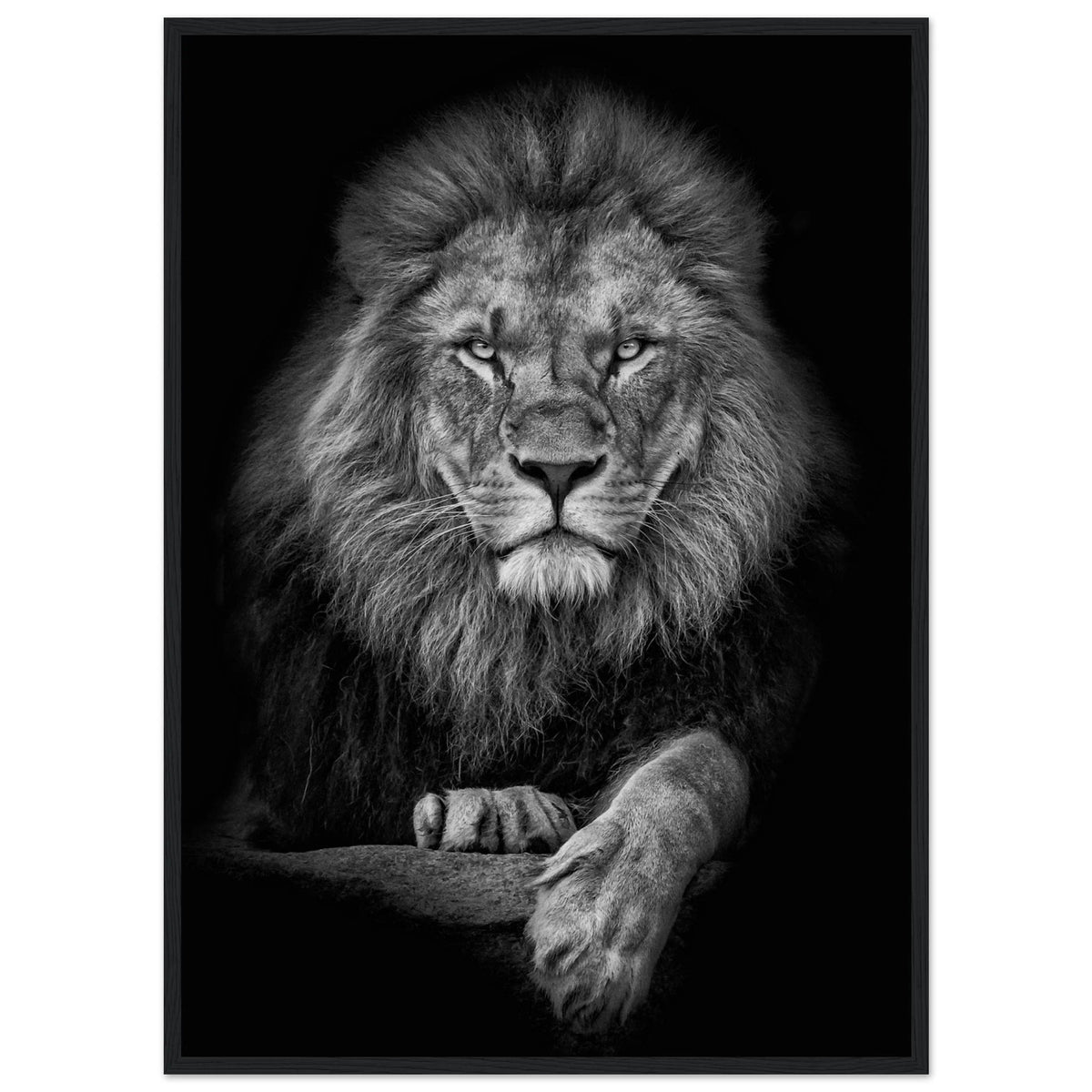 Tableau Noir et Blanc Lion - The Art Avenue