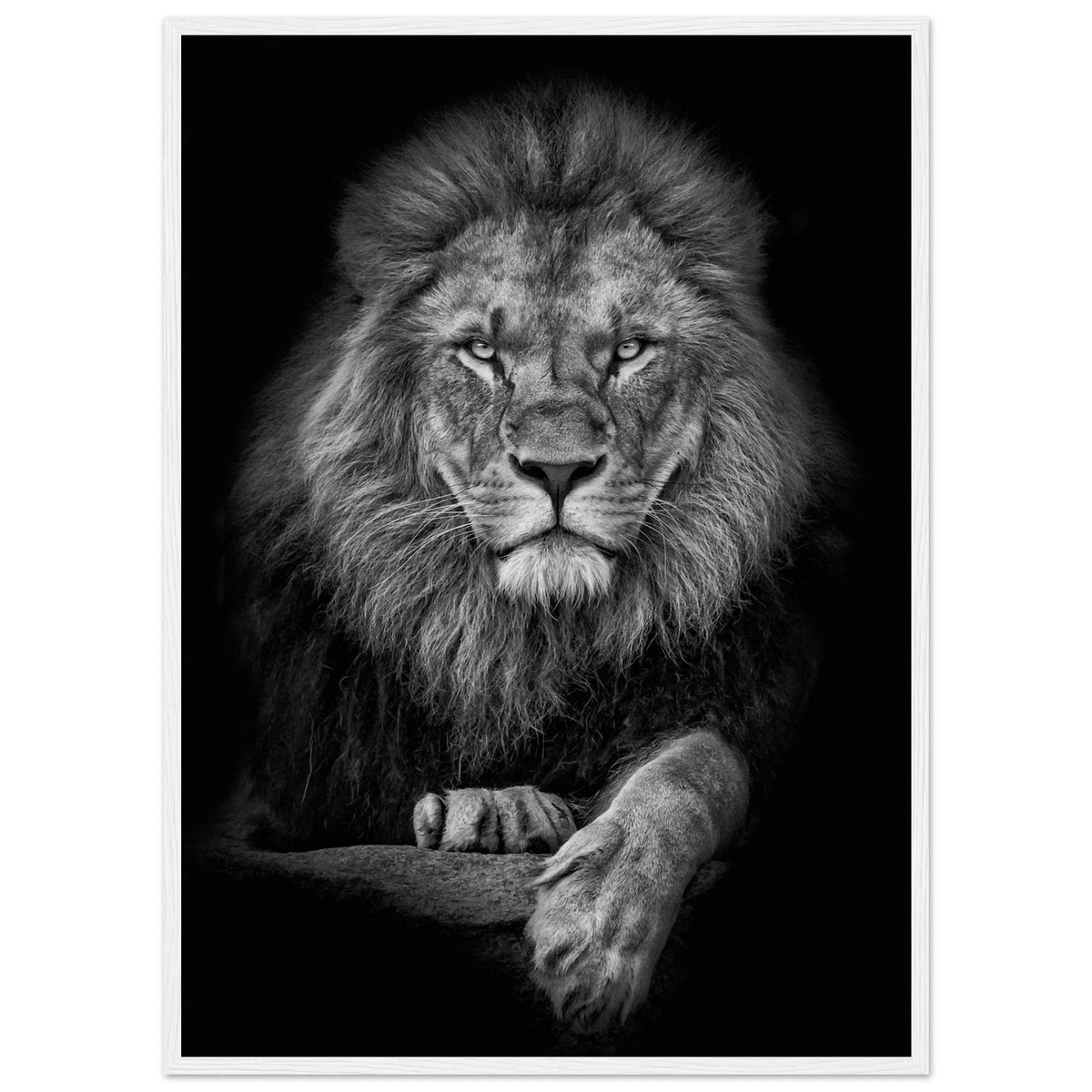 Tableau Noir et Blanc Lion - The Art Avenue