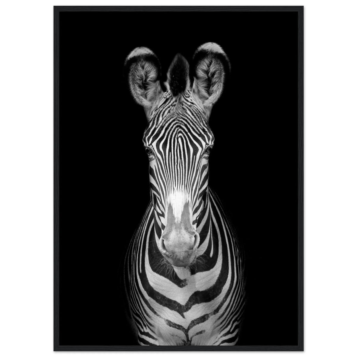 Tableau Noir et Blanc Zèbre - The Art Avenue