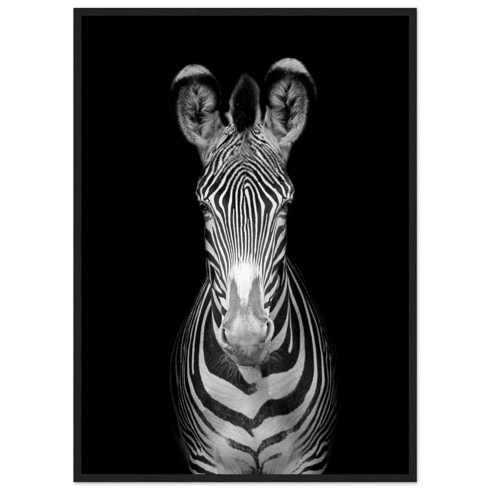 Tableau Noir et Blanc Zèbre - The Art Avenue