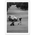 Tableau Photographie Golf Noir et Blanc - The Art Avenue