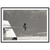 Tableau Photographie Princesse Diana Yacht - The Art Avenue