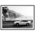 Tableau Photographie Voiture Californie - The Art Avenue