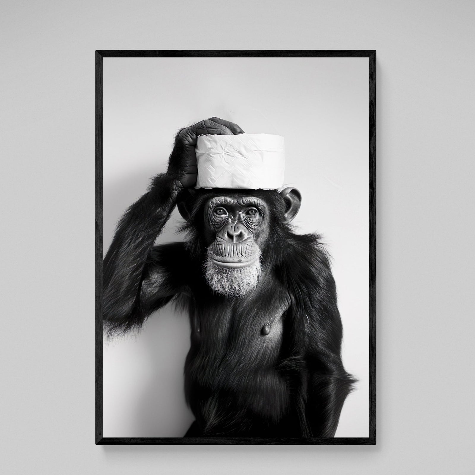 Tableau Singe Noir et Blanc Toilettes - The Art Avenue